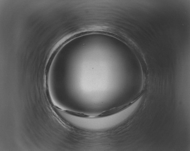 X0000085831324200703161313
