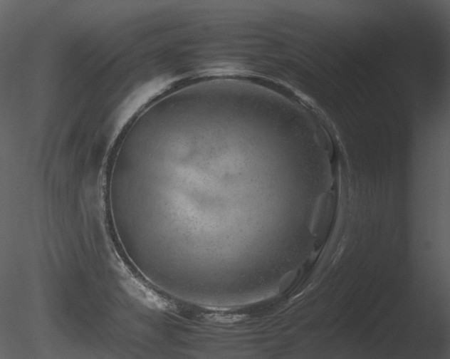X0000085831325200703161313