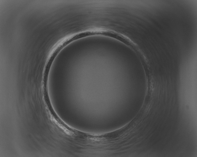 X0000085831327200703161313