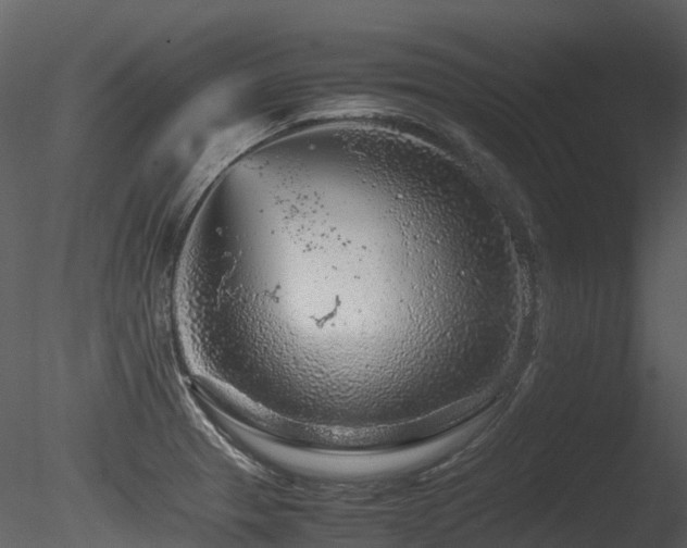 X0000085831329200703161313