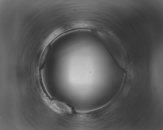 X0000085831330200703161313