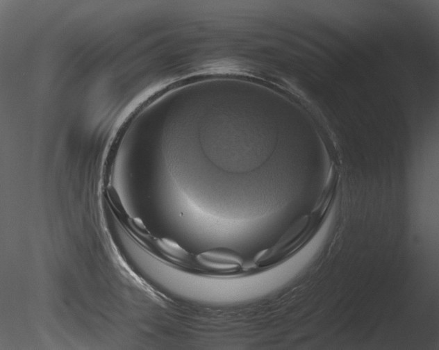 X0000085831331200703161313