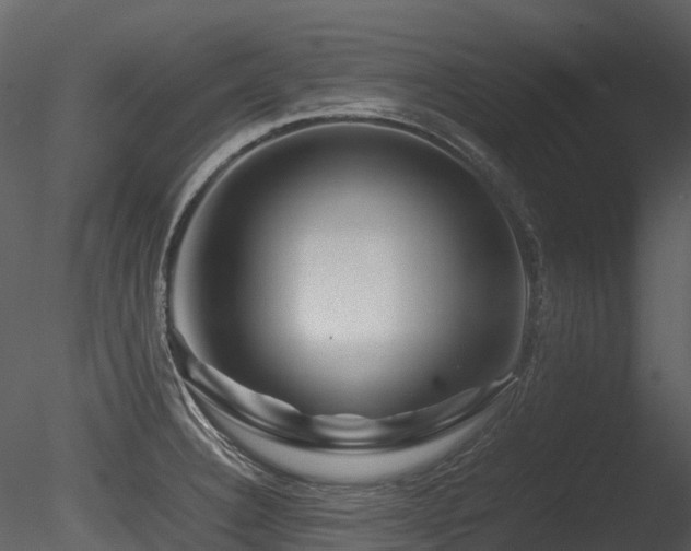 X0000085831332200703161313