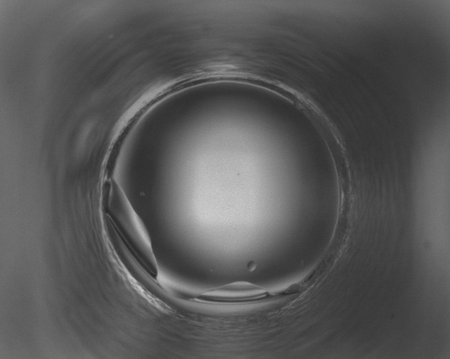 X0000085831333200703161313