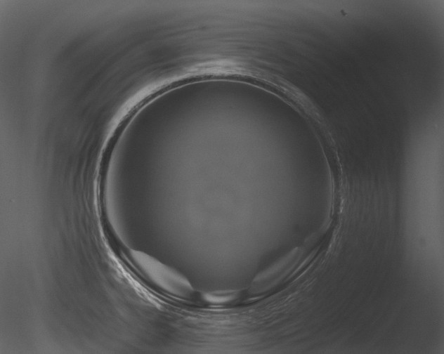 X0000085831334200703161313