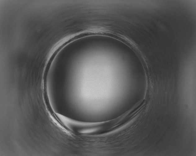 X0000085831335200703161313