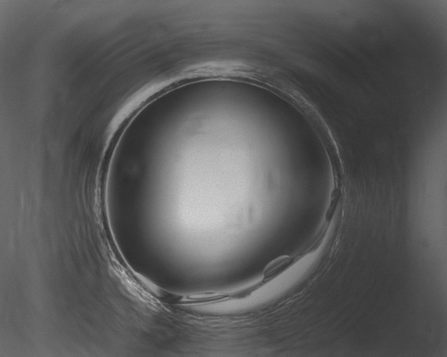 X0000085831336200703161313