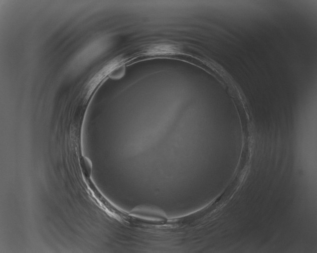 X0000085831337200703161314