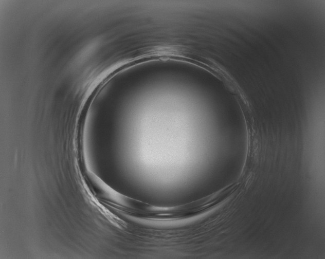 X0000085831339200703161314
