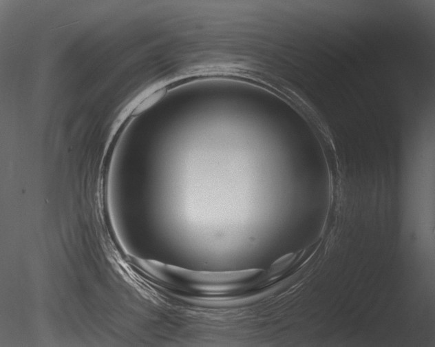 X0000085831340200703161314