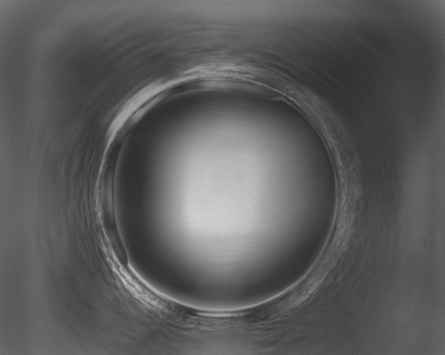 X0000085831344200703161314