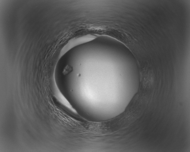 X0000085831345200703161313
