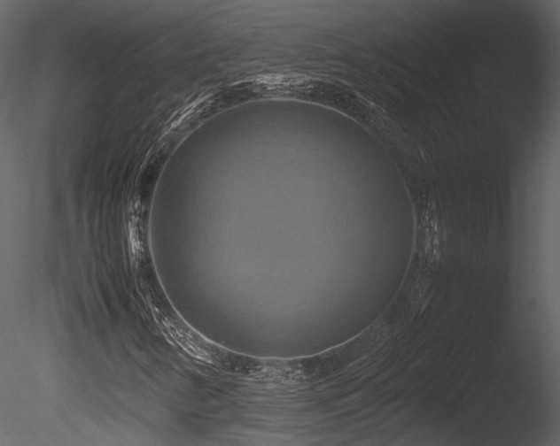 X0000085831346200703161313