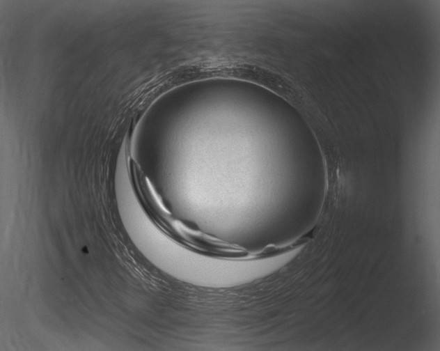 X0000085831348200703161313