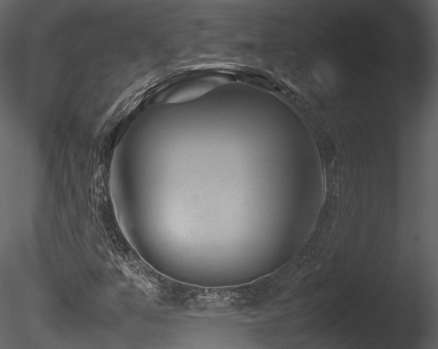 X0000085831351200703161313