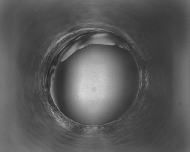 X0000085831352200703161313