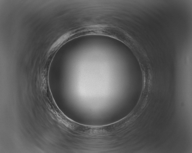 X0000085831354200703161313