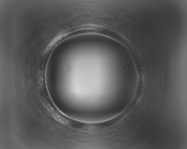 X0000085831355200703161313