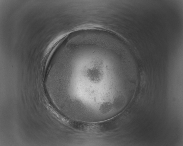 X0000085831363200703161312