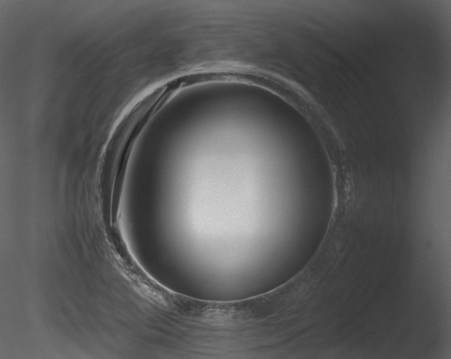 X0000085831364200703161312