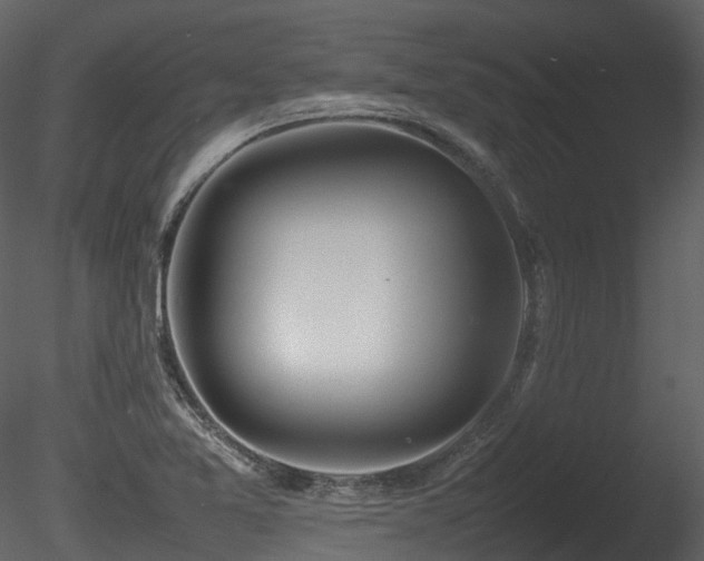X0000085831365200703161312