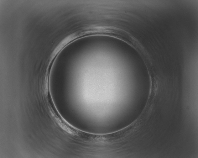 X0000085831370200703161312