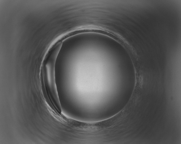 X0000085831372200703161312