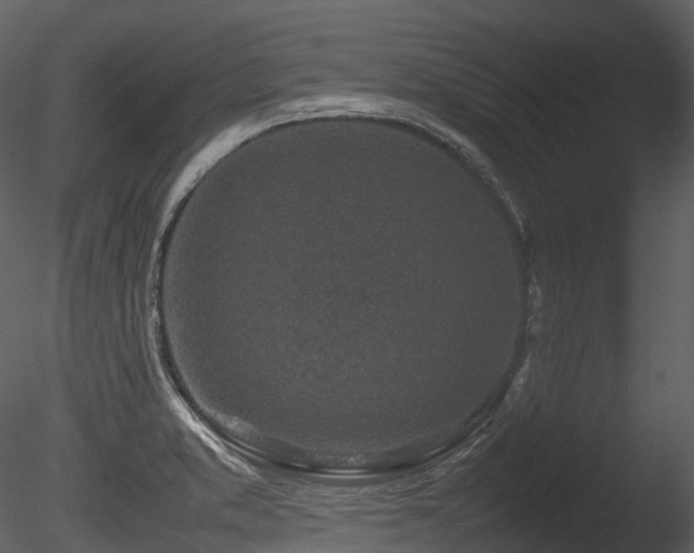 X0000085831373200703161312
