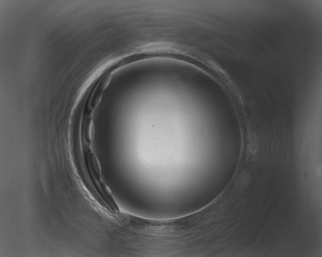 X0000085831376200703161312