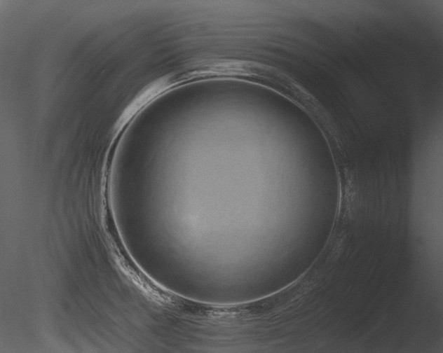 X0000085831378200703161312