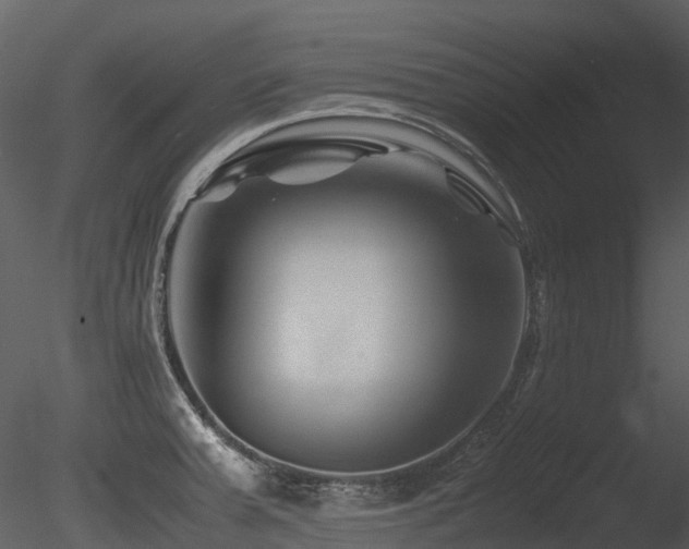 X0000085831379200703161312