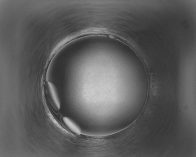 X0000085831382200703161312