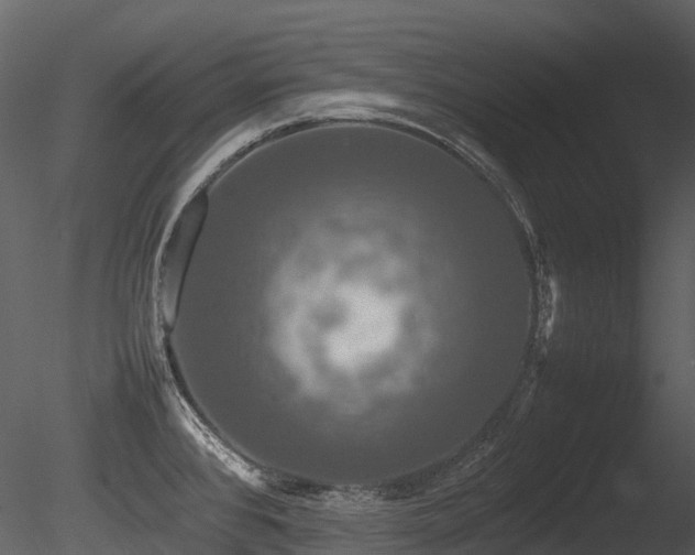 X0000085831384200703161312