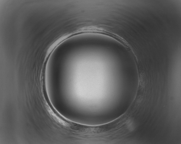 X0000085831387200703161312