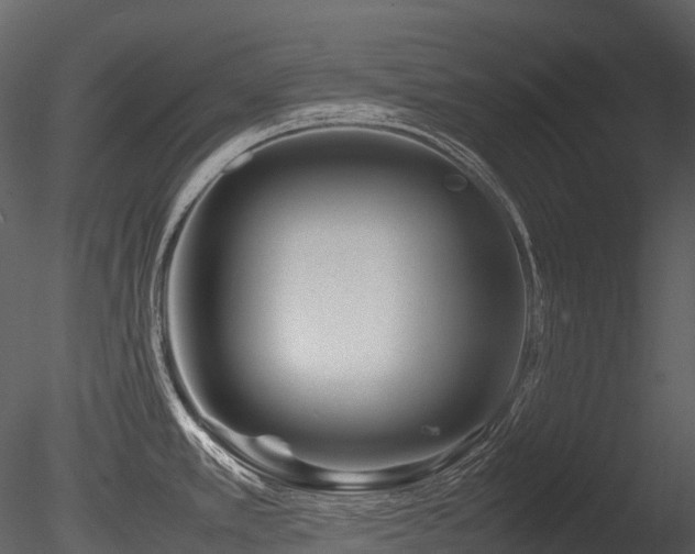 X0000085831389200703161312