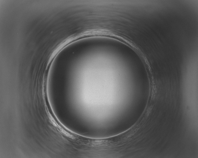 X0000085831390200703161312