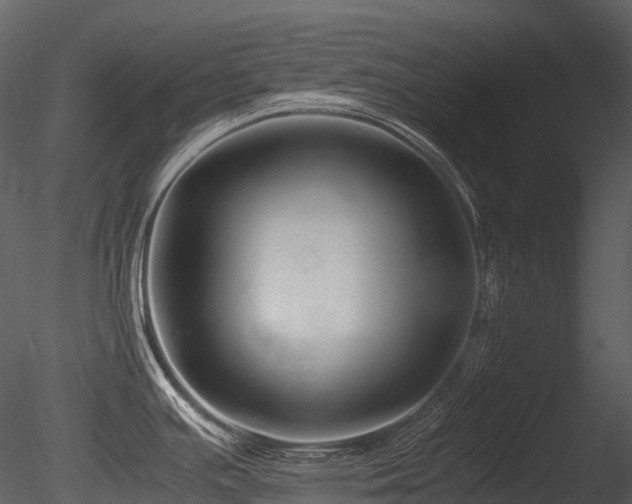 X0000085831391200703161312