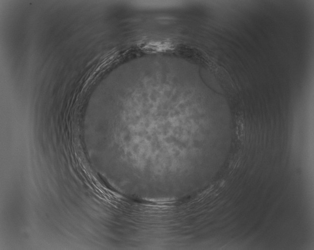 X0000085831393200703161311