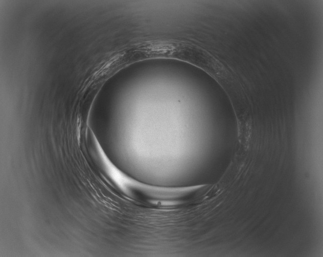 X0000085831394200703161311