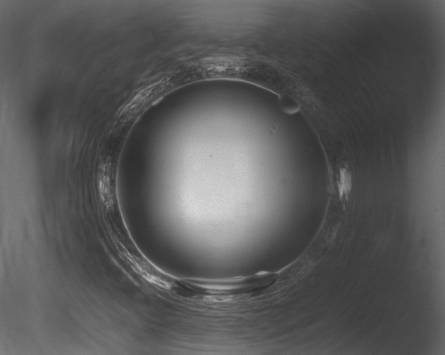 X0000085831396200703161311
