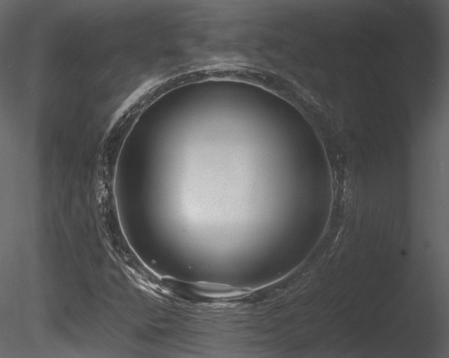 X0000085831400200703161311
