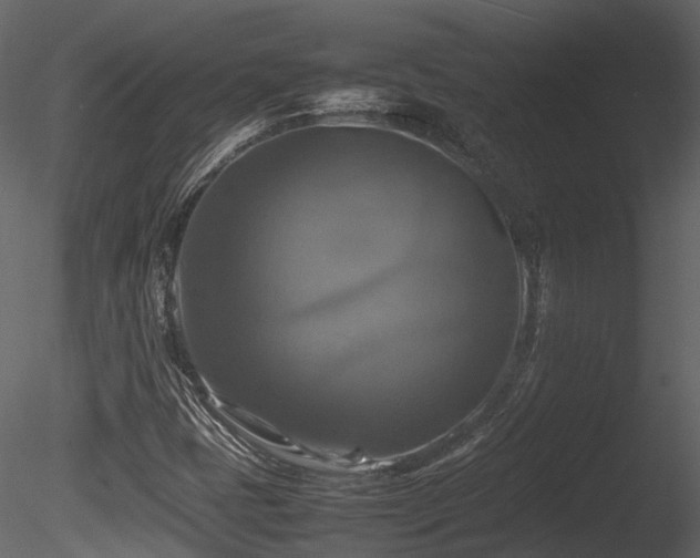 X0000085831401200703161311