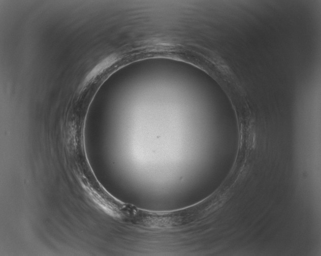 X0000085831402200703161311