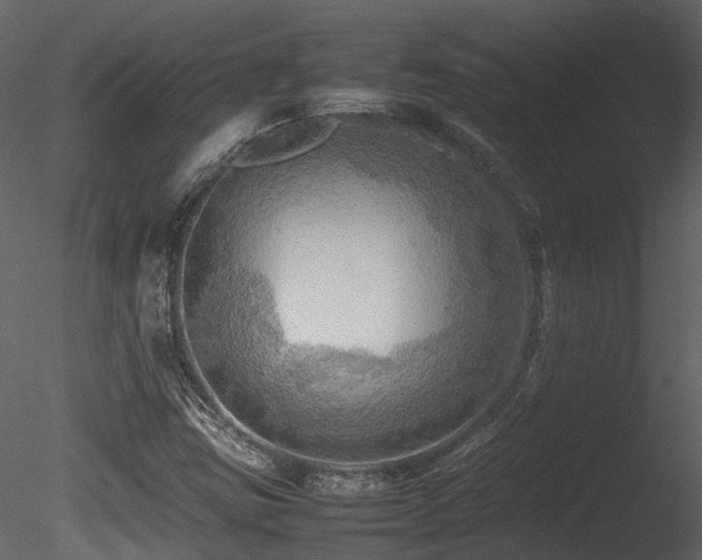 X0000085831403200703161311