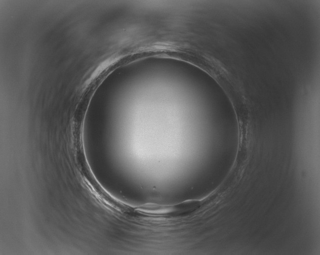 X0000085831404200703161311