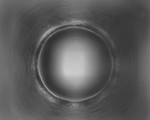X0000085831412200703161311