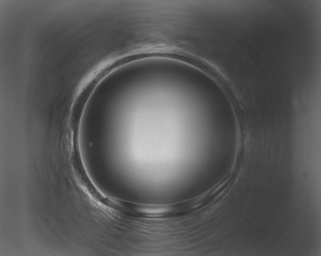 X0000085831414200703161312