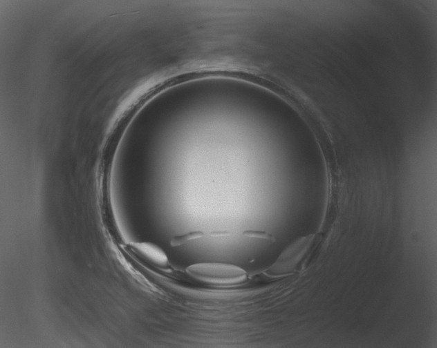 X0000085831416200703161312