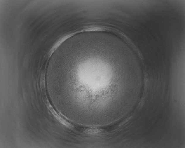 X0000085831417200703161312