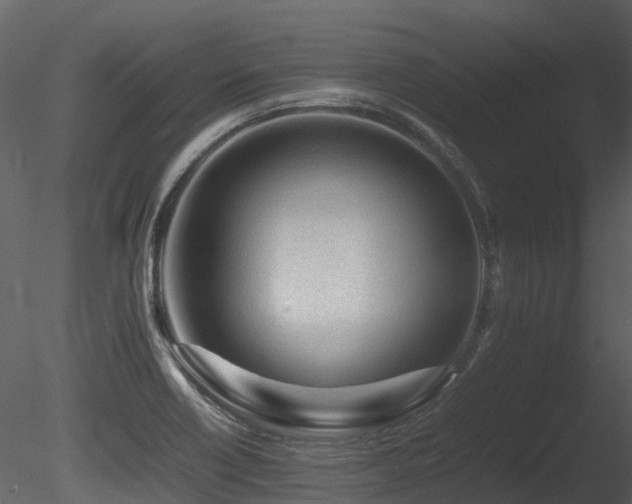 X0000085831418200703161312